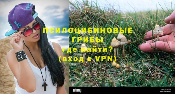 кристаллы Губаха